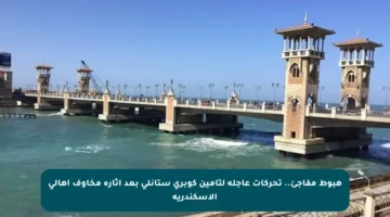هبوط مفاجئ.. تحركات عاجلة لتأمين كوبري ستانلي بعد إثارة مخاوف أهالي الإسكندرية